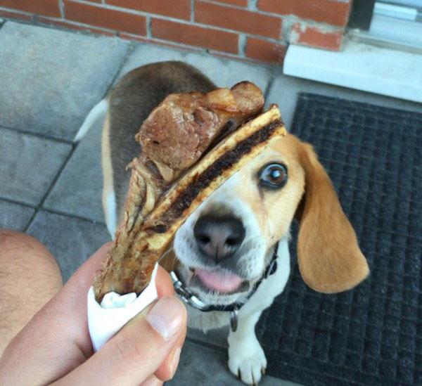 Radass Daily Pics - More at Radass.com (17)