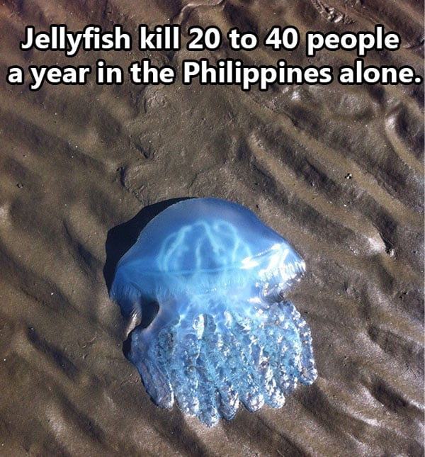 Shocking Thing s That Kill People Every Day. (14)