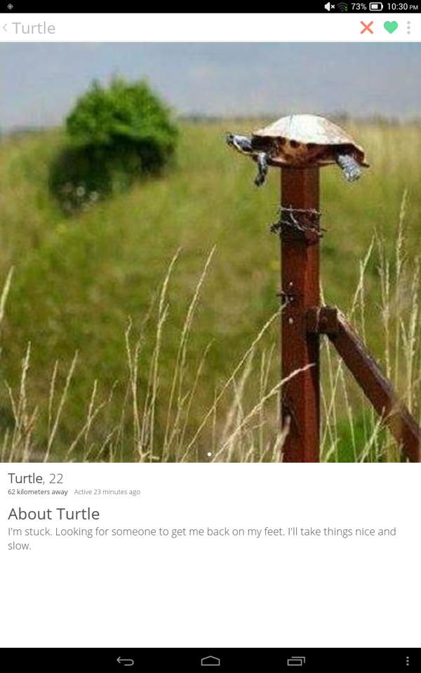 The best in Tinder funny dating posts. (12)