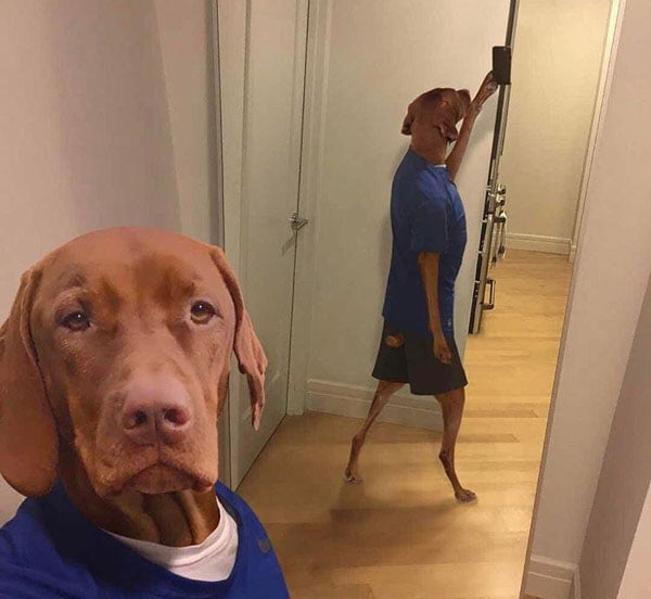 Radass Daily Pics. (25)