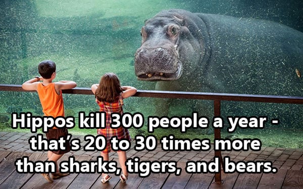 Shocking Thing s That Kill People Every Day. (28)