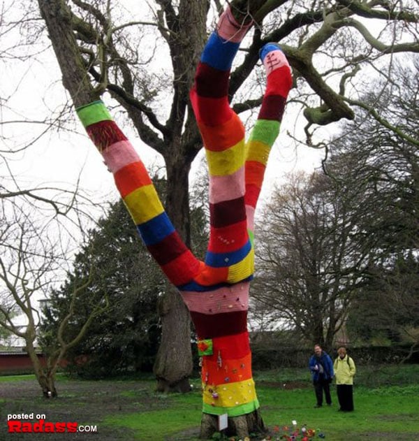 grandma is off her meds-38 Awesome photos on the best pic dump site on the web. (30)