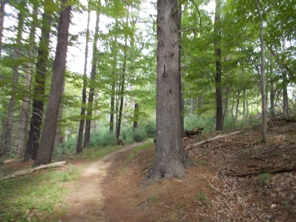 practical uses for duct tape. (10)