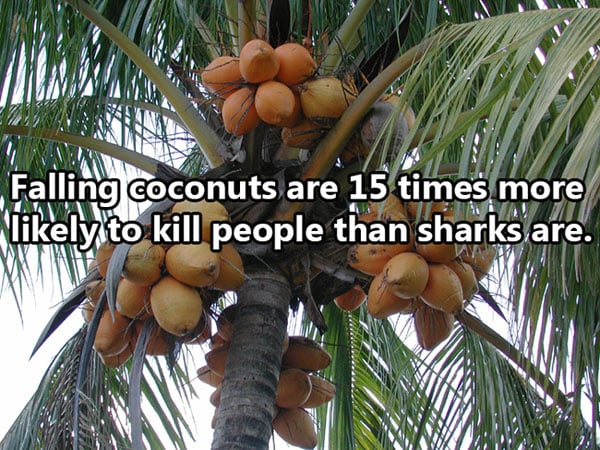 Shocking Thing s That Kill People Every Day. (20)