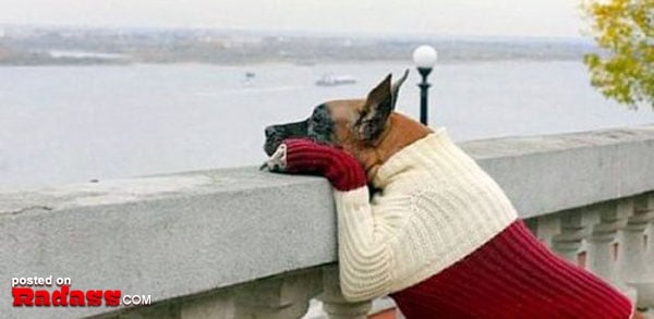 grandma is off her meds-18 Awesome photos on the best pic dump site on the web. (17)