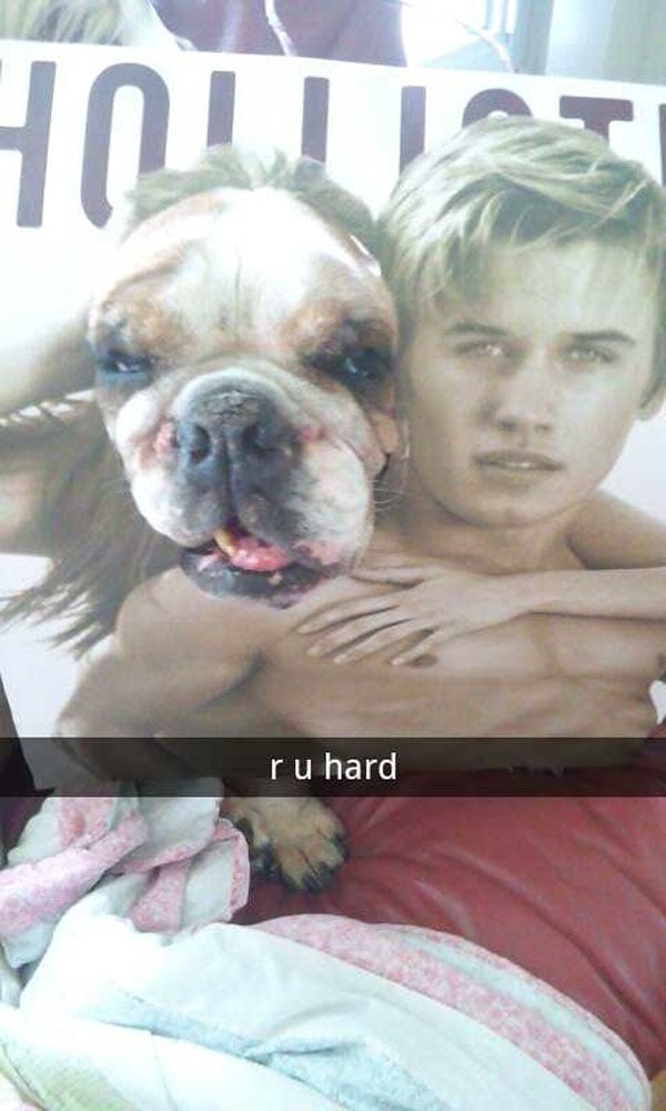 A person (or people) and a dog are chilling on a couch, showcasing their Snapchat skills.