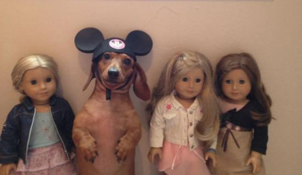 Radass Daily picdump (14)