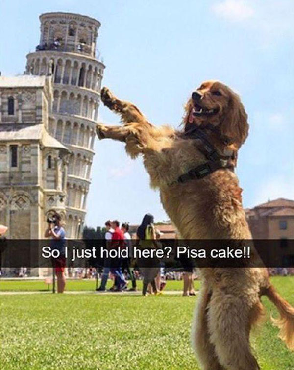 Radass Daily Pics. (6)