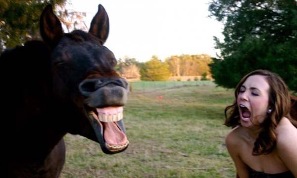 I could date you but I found this funny photo. (3)