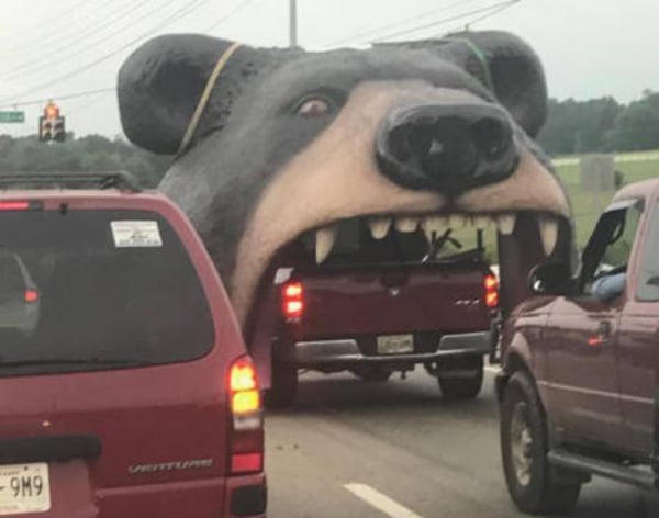 Radass Daily picdump (21)