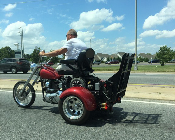 Radass Daily Pics. (35)