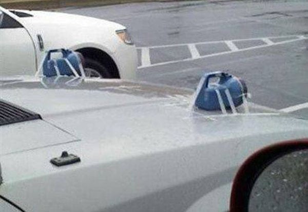 Radass Daily Pics - More at Radass.com (37)