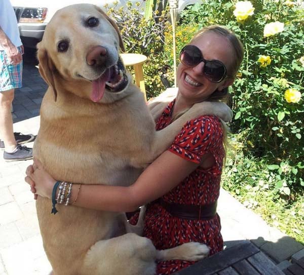 I could date you but I found this funny photo. (10)