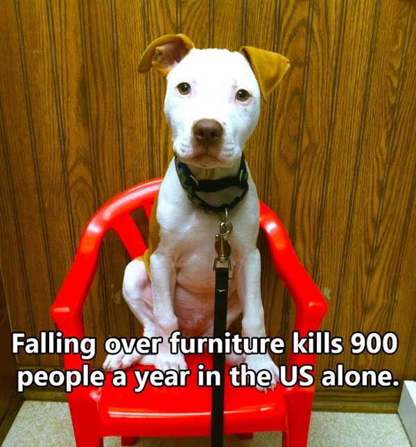 Shocking Thing s That Kill People Every Day. (24)