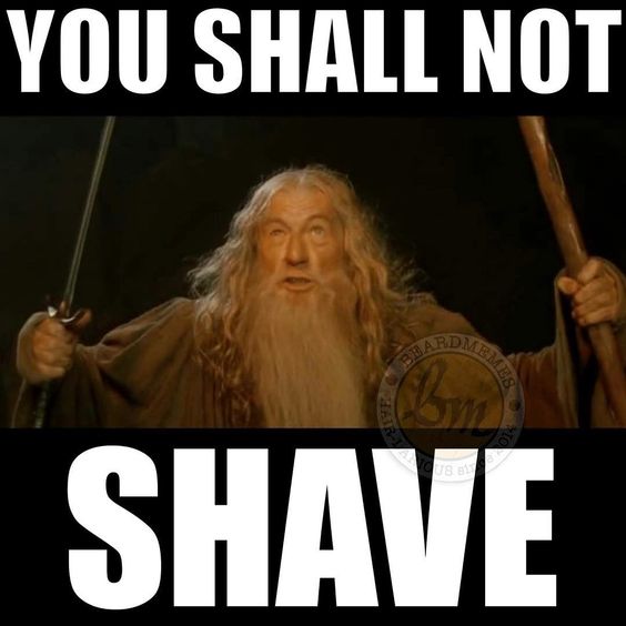 In honor of the coolness that a beard is, let’s take a look at some of the funniest beard memes.