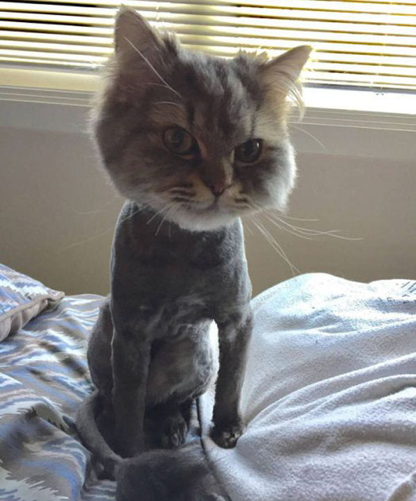 Radass Daily Pics - More at Radass.com (23)