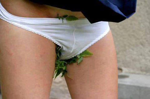 A woman's underwear with a plant growing out of it, embodying the playful quirkiness of