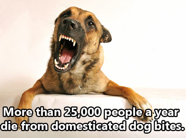 Shocking Thing s That Kill People Every Day. (27)
