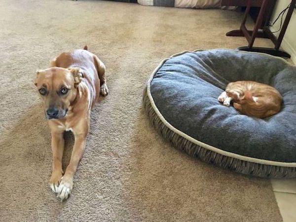 Radass Daily Pics - More at Radass.com (18)