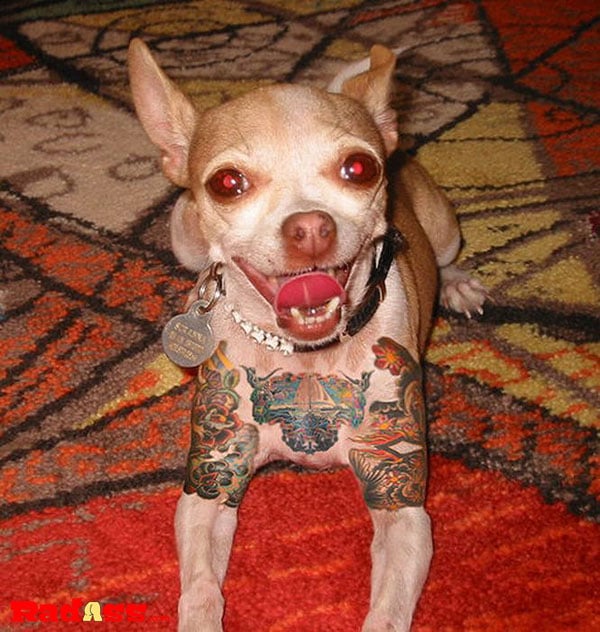 04-25-12 Tatoos-01 img-37