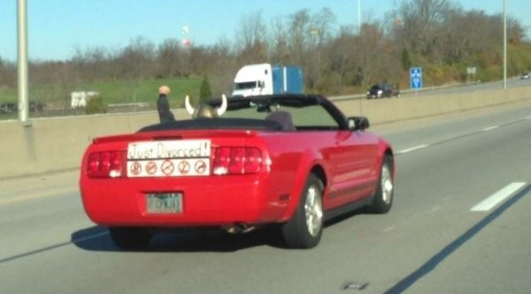 Radass Daily picdump (28)