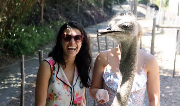 Two women standing next to an ostrich at a zoo, pondering