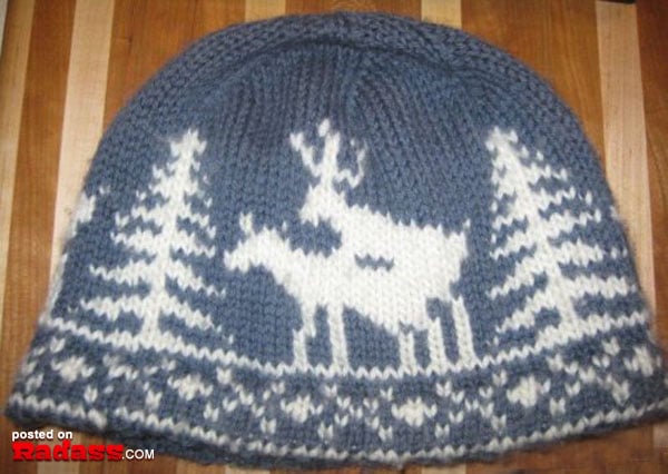 grandma is off her meds-46 32 Animals That Are Having A Better Day Than You. (9)