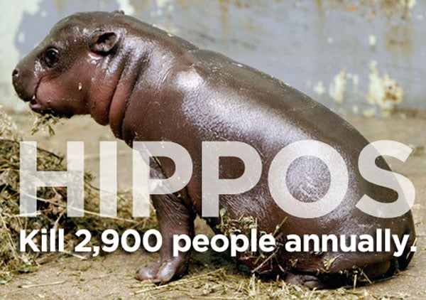 Shocking Thing s That Kill People Every Day. (2)