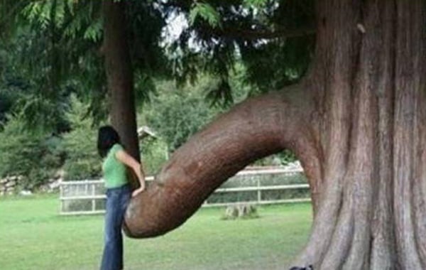 A woman leaning against a tree, looking contemplative and distant as if she's saying