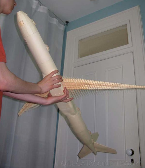 A man's mind-blowing model airplane captivates in photos and video.