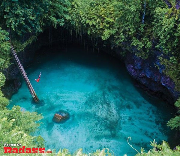 A man is swimming in a jungle pool.