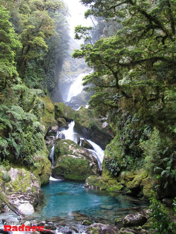 Escape to a lush green forest with a mesmerizing waterfall.