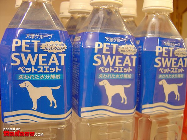 Four bottles of WTF pet sweat water.