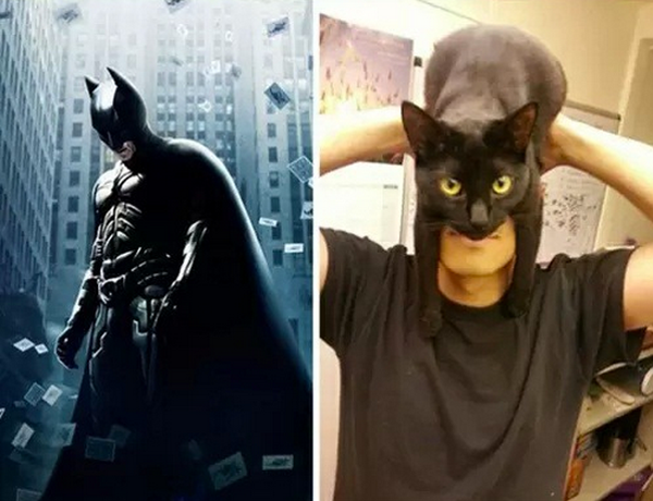 A man with a cat on his head and a picture of Batman showcases low-cost cosplay.