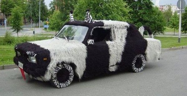 A WTF zebra car on the side of the road.