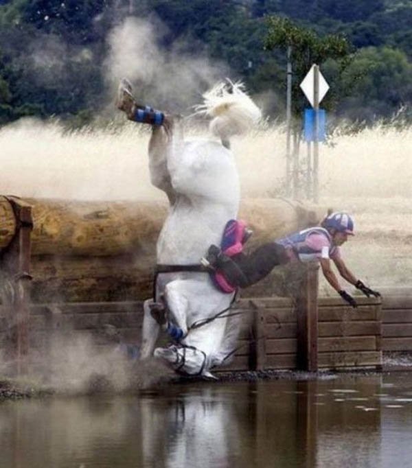 A rider face plants off a horse into a pond.