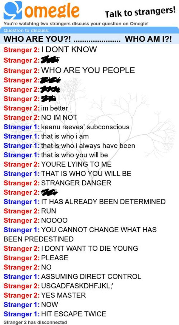 A screenshot of a text message inquiry: