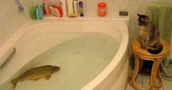 Two men observing a fish tank.