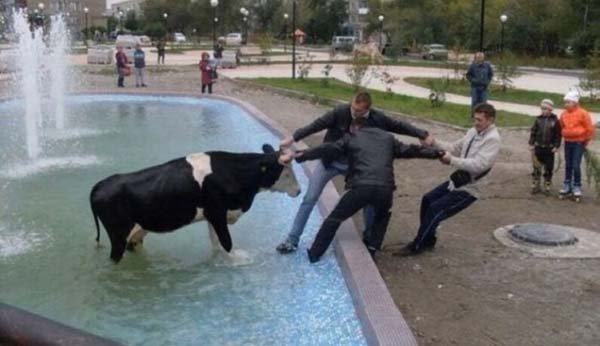 Two men observing a fish tank.