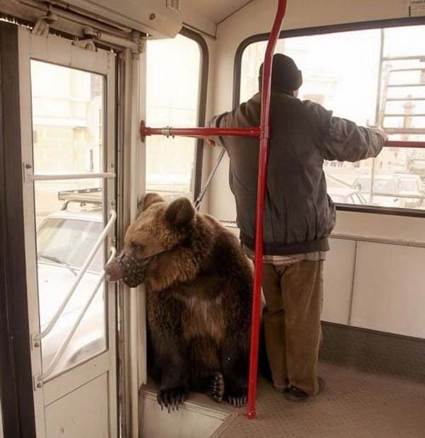 Two men observing a fish tank.