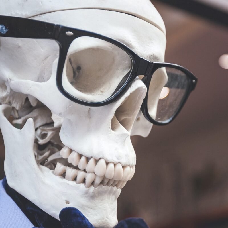 A bow-tied mannequin skeleton joins the Wellness Squad.