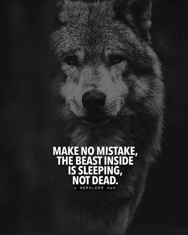 A black and white photo of a wolf promoting getting in touch with your inner animal.