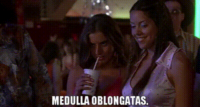 YARN | medulla oblongatas. | Van Wilder (2002) | Video gifs by quotes | 500f9e92 | 紗
