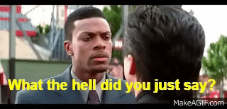 what the HELL did you just say? on Make a GIF