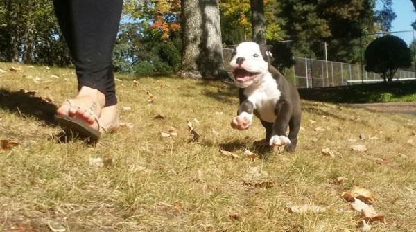 32 Happy Animals That Are Having A Better Day Than You. (5)