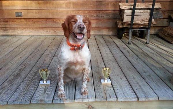 32 Animals That Are Having A Better Day Than You. (12)