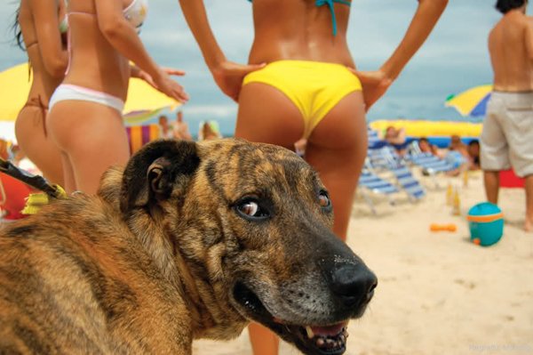 32 Animals That Are Having A Better Day Than You. (23)