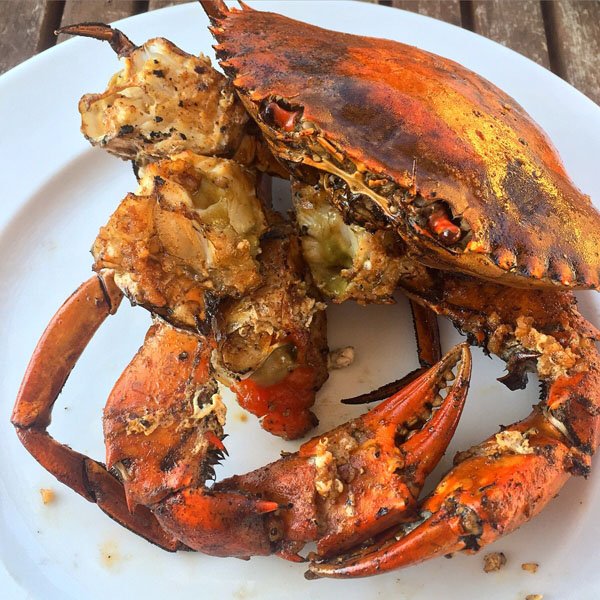 Food Photos just because we can. (45)