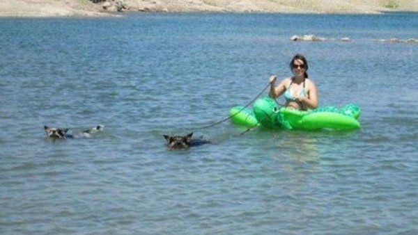 Life Hacks to make your life easier.