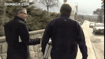 The funniest GIFS on the internet. (7)